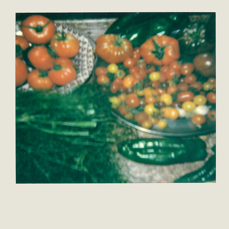 Дрис ван Нотен снял свою жизнь на Polaroid (фото 5)