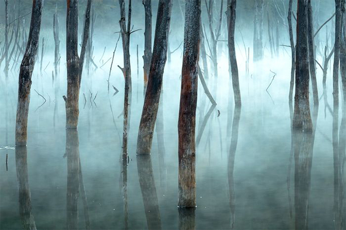 Названы победители Nature Photographer of The Year — 2019. Смотрите лучшие снимки природы (фото 22)