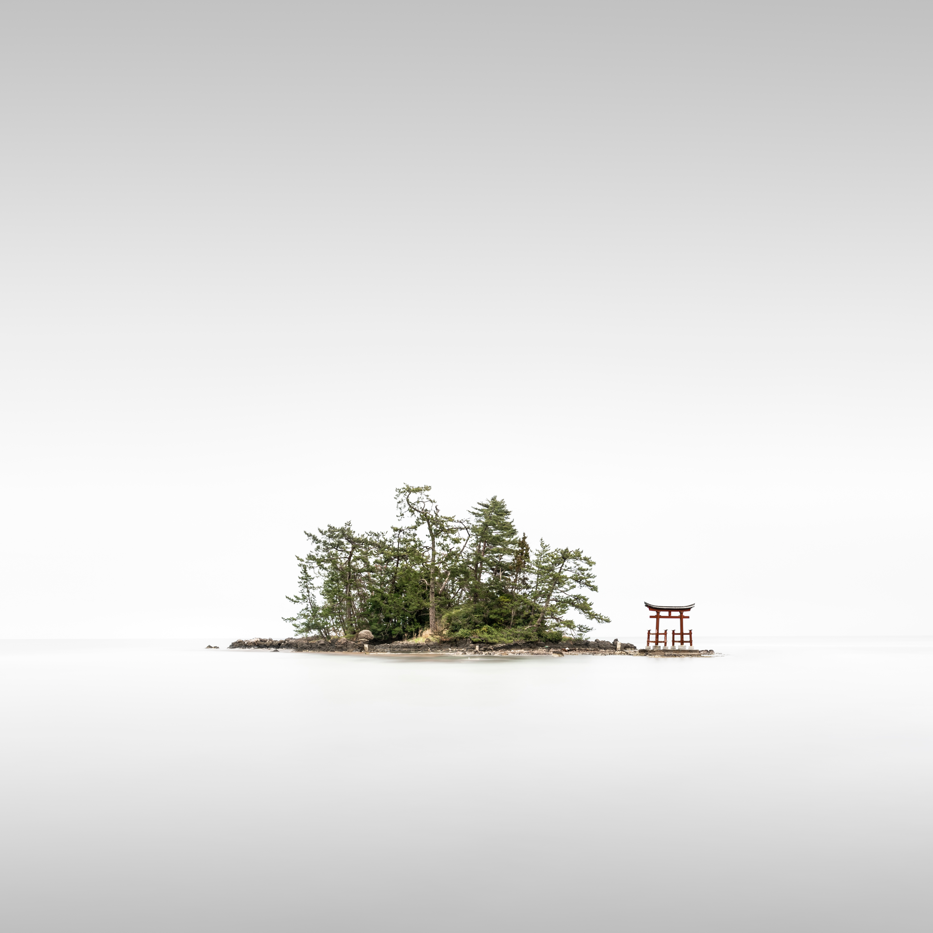 Названы победители Sony World Photography Awards — 2020. Смотрите лучшие фото (фото 45)