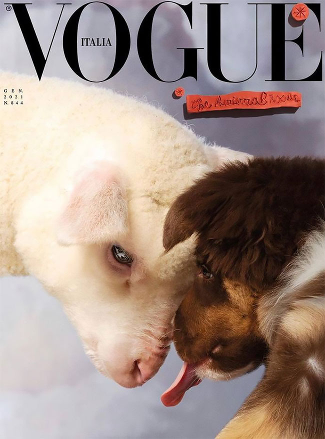 Итальянский Vogue посвятил номер животным. На обложке — щенки, овечки и волки (фото 1)