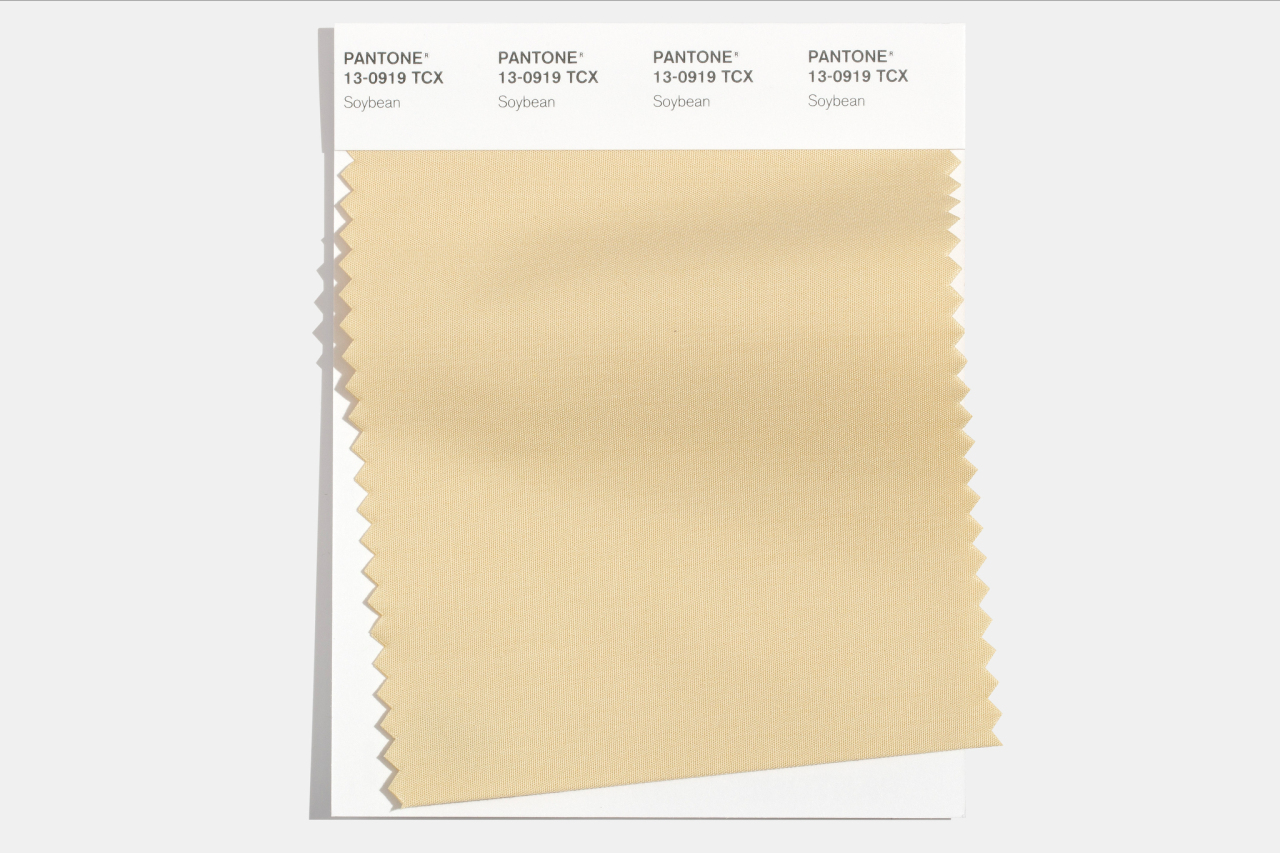 Pantone назвали главные оттенки осени 2021 года (фото 12)