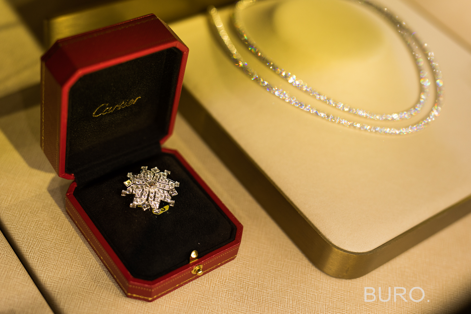 Как прошел пикник Cartier в саду киевского особняка Полякова (фото 2)