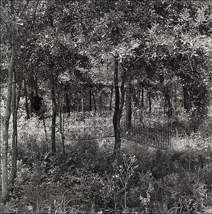 Ретроспектива фотографий Кэрри Мэй Вимс (фото 5)