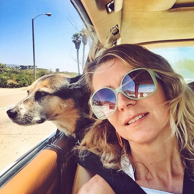 We cruisin'      
#beachbound #vintage #dog @fuzzywarbles