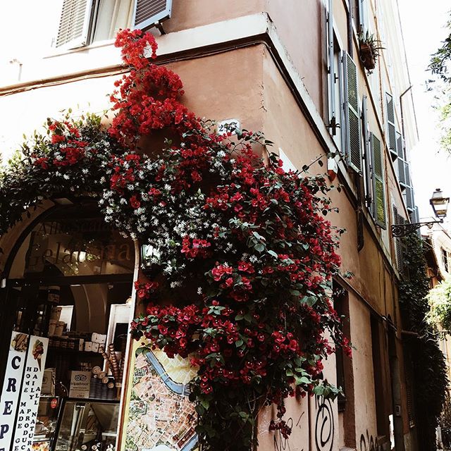 He has made everything beautiful in its time   Ecclesiastes 3:11   [ Bougainvillea around #Trastavere ]