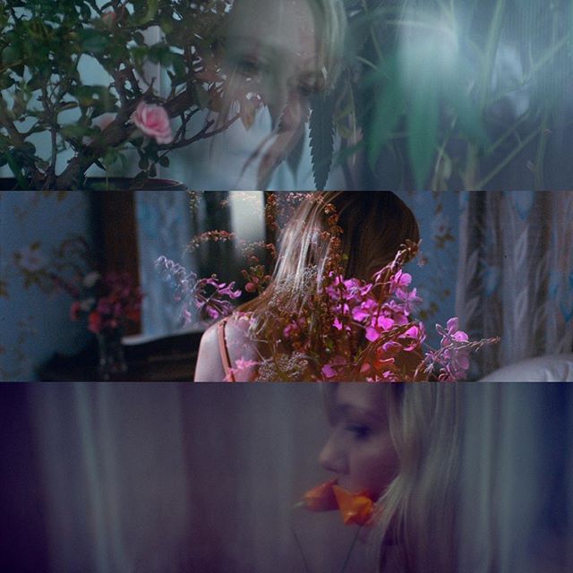 Beautiful stills from @woodshockmovie- written and directed by @kateandlauramulleavy- and starring the amazing @kirstendunst. Link in bio to see the full trailer. #woodshock #kirstendunst