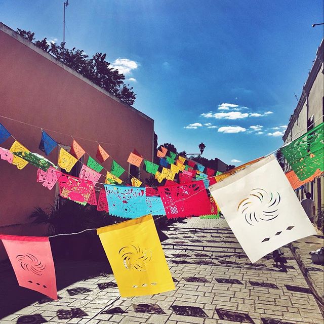 Festival  
.
#mexico #valladolid #festival #colors