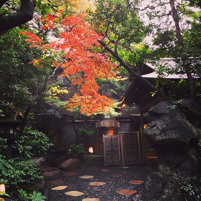 Food nirvana at the Tsukiji Jisaky #DiorTokyo