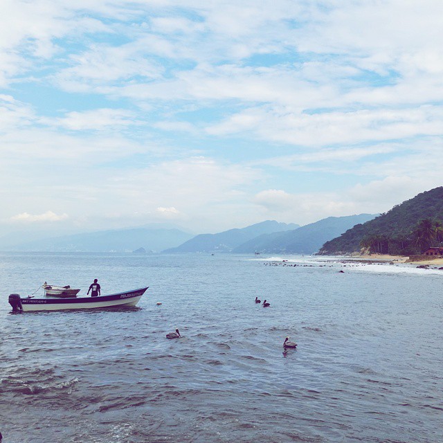 Fishing for religion.
#mexico #ocean #puertovallarta #fishing #pelicans