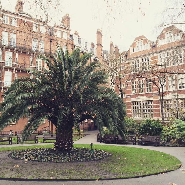 The #unexpected in London. Mount Street Gardens such a magical place...